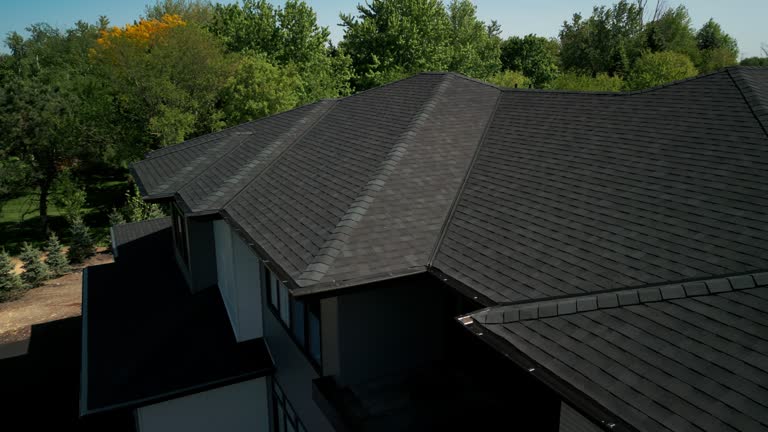 Best 4 Ply Roofing  in Palmhurst, TX