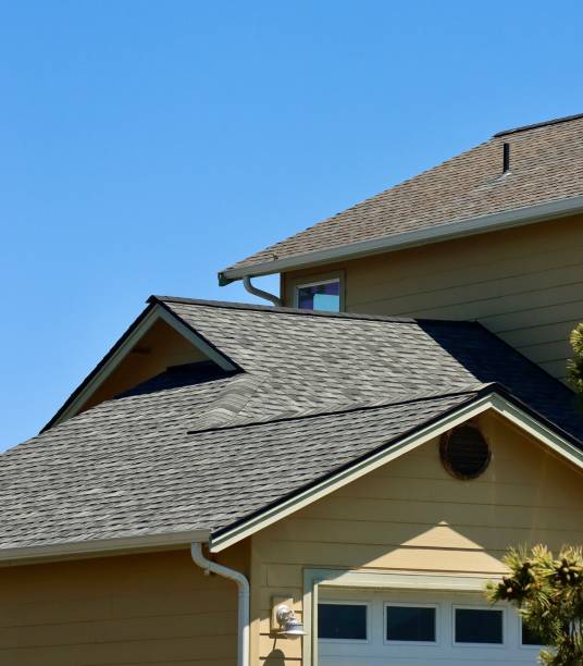 Best Gutter Installation and Repair  in Palmhurst, TX